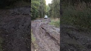 В этот раз на двух нивах