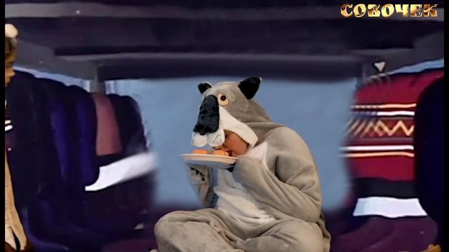 Щас спою!