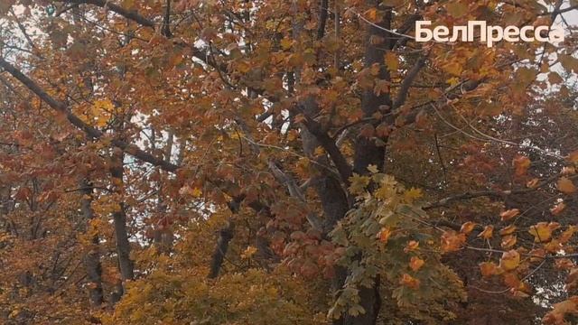 Что читают белгородцы