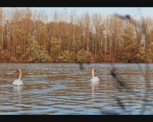 Время пришло