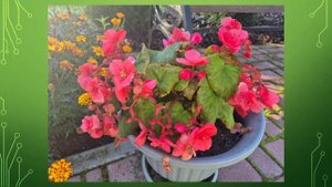 Краски сентября