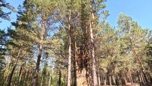 На кануне памятной, трагической даты произошедшей 1 сентября 2004 года в г. Беслан