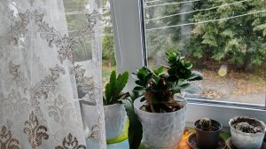 Сентябрьский день в деревне, уютная деревенская жизнь