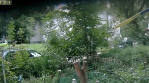 В прокуратуру Москвы Под окном сент 02 - 04 Нарушения ПДД и САНПИН