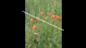 просто видео