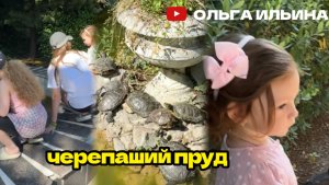 ЧЕРЕПАШИЙ ПРУД В КРЫМУ В ПАРКЕ ОТЕЛЯ « ФОРОС»