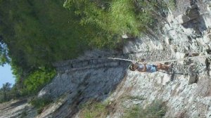 Инал 2009 год. Видео от семьи Калайтановых