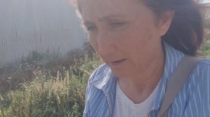 Что купила в продуктовом и забрала на Вайлдберриз. Немного ремонта  вчерашний день