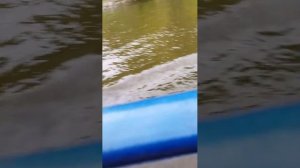 еду на теплоходе