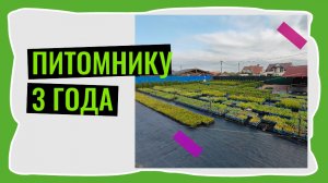 3 года питомнику растений 🌲/смотрим чего достигли/встречаем гостей