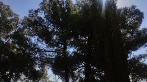 волшебник покидает Алушту и море будет  неспокойным.... 4 сентября.