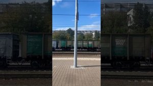 Город Домодедово 7.09.25 г