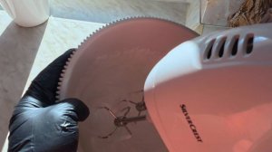 Выпечка к чаю. Очень вкусные пирожные-ракушки.