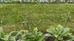 С.Р.В_Парк-3_07-09-2025