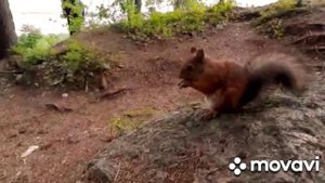 Выборг август 2022