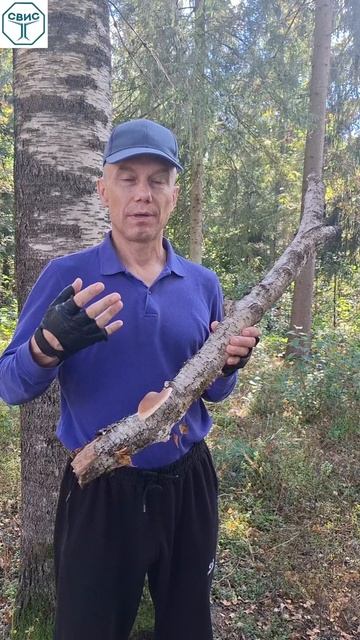 Кто поймёт эту связь перестанет болеть.
У многих времени осталось мало...
клиника 
алоэтерапия