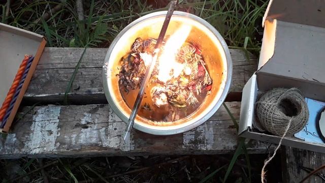 ЧИСТКА ОТ ЖАБЬЕЙ ПОРЧИ!