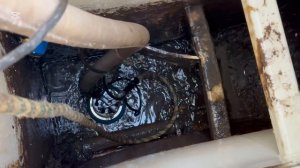 Стандарт Топас 8