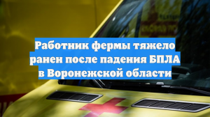 Работник фермы тяжело ранен после падения БПЛА в Воронежской области