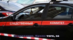 РИА Новости: Сотрудников передержки в Чехове, где избивали собак, допросили в СК