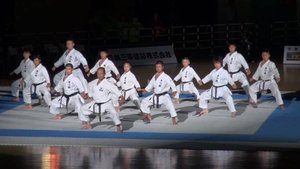 Чемпионат Мира в Японии (Токио) 2013