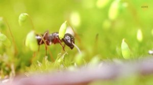 Почему копание на заднем дворе может стоить вам нескольких сотен тысяч