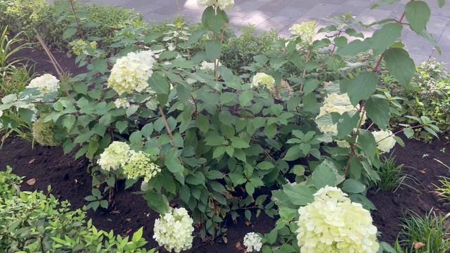 С.Р.В_Парк-2_07-09-2025 смотреть онлайн