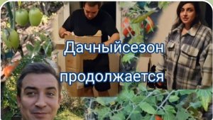 САМВЕЛ АДАМЯН, ГАРИК И КЕРРИ, ВЫГОДНО ПОКУПАТЬ ТОЛЬКО ОСЕНЬЮ, ДАЧНЫЙ СЕЗОН ПРОДОЛЖАЕТСЯ..