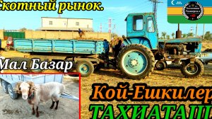 08-09-2025 СКОТНЫЙ РЫНОК -МАЛ БАЗАР 🐐