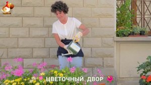 Цветы на участке и во дворе как красиво посадить фото идеи для вдохновения (53)