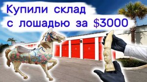 Купили склад с лошадью за $3000. Находки в брошенном контейнере.
