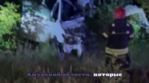 В Приамурье в ДТП с автобусом погиб человек