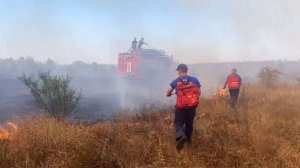В Крыму произошло возгорание сухой растительности на площади 150 га