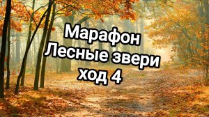 Марафон Лесные звери, ход 4