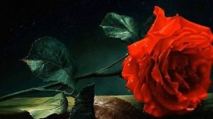 Moreza - Miss guitar - Музыка в душе играет