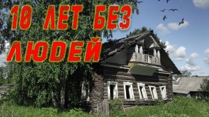 Секреты ЗАБРОШЕННЫХ ДЕРЕВЕНЬ, Вологодская область, край лесов, боль и рек!