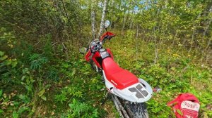 Путешествуйте выгодно rosbillet.ru