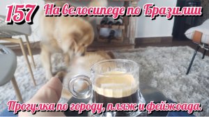 Прогулка по городу, пляж, кайтсерфинг и фейжоада. На велосипеде по Южной Америке. День 157 Бразилия