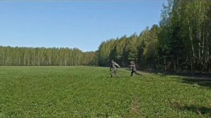Три Нивы