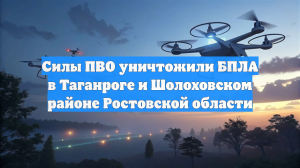 Силы ПВО уничтожили БПЛА в Таганроге и Шолоховском районе Ростовской области