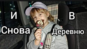Дорога в деревню Из Города в Пионерский VLOG