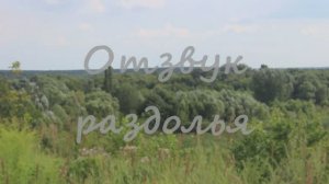 Отзвук раздолья