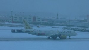 Заметает зима в Домодедово