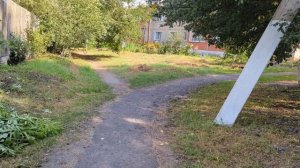 #Мучкап прогулка 2025