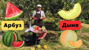 Коктейль Арбуз и Дыня. Готовим домашний лимонад. Готовит Эдуард Иванович.