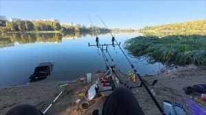 Рыбалка на Борисовских прудах 🎣 Проверка лунного календаря, дипов и новый трофей