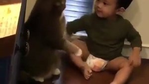 Навязчивый человеческий детёныш и кот/ видео приколы 2025 смотреть онлайн / приколы видео самые смеш