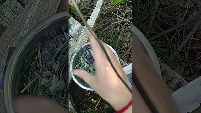 СНЯТИЕ КОЛДОВСКИХ ЛОВУШЕК, ЗАМКОВ, НЕПРОГЛЯДОВ, ОТВОДОВ, КРЮЧКОВ, КРАДНИКОВ!