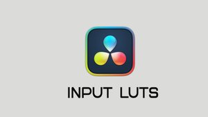INPUT LUTS in DaVinci resolve