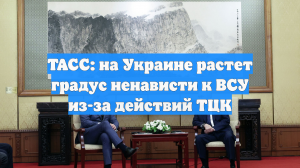 ТАСС: на Украине растет градус ненависти к ВСУ из-за действий ТЦК